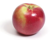 Over 813 Varieties, of Apples, But How Many Are Locally Grown?