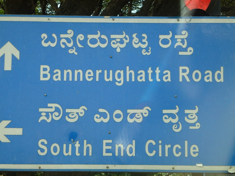 Bangalore Day 5 20