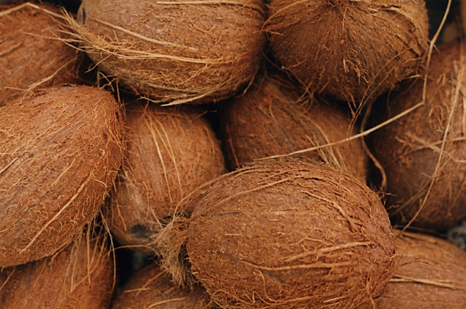 Bangalore ripe coconuts
